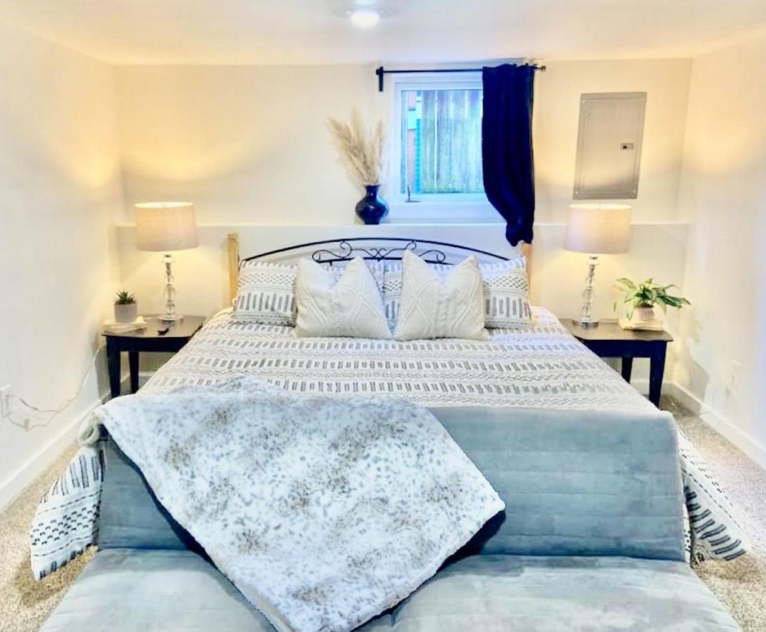 Boutique Apartment In Historic Downtown אלבני מראה חיצוני תמונה