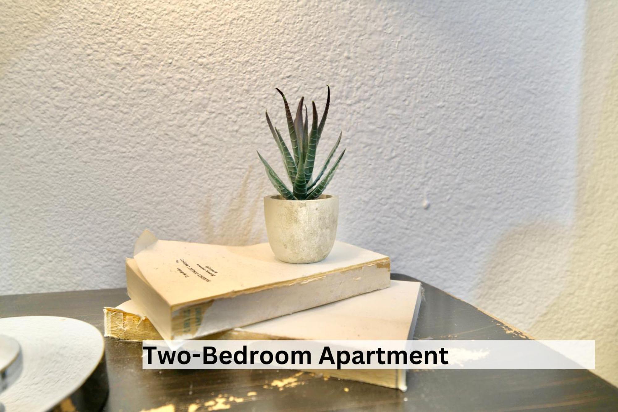Boutique Apartment In Historic Downtown אלבני מראה חיצוני תמונה