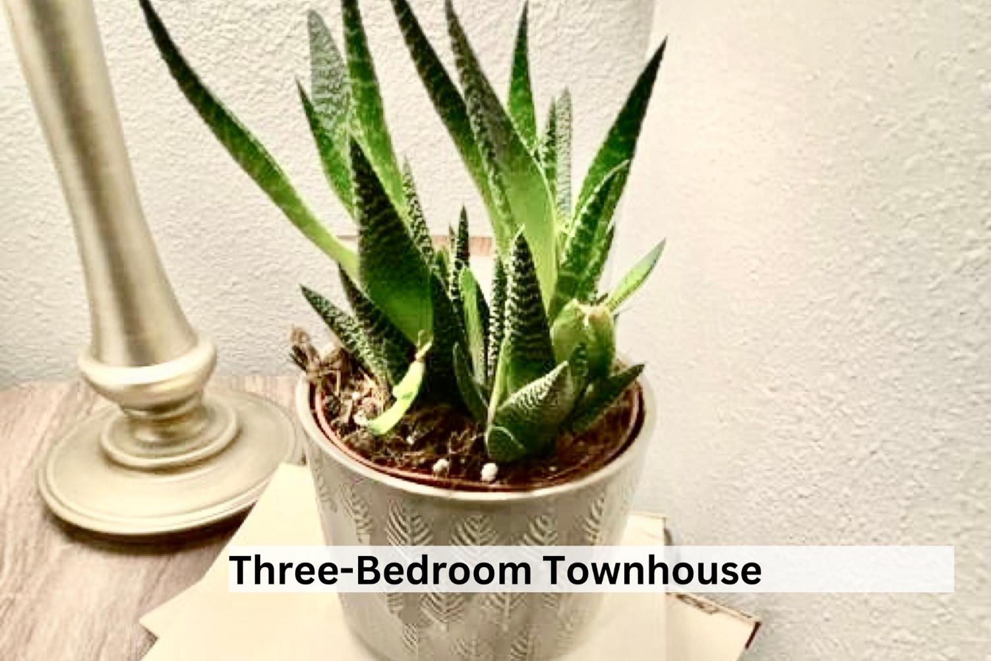 Boutique Apartment In Historic Downtown אלבני מראה חיצוני תמונה